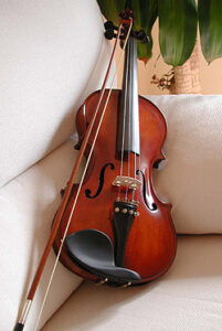 Violin 20